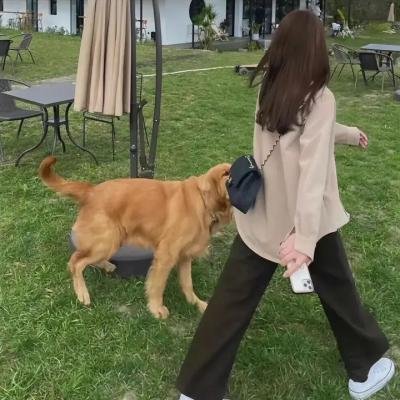缘来花开