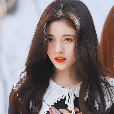 狮子护卫队第一季
